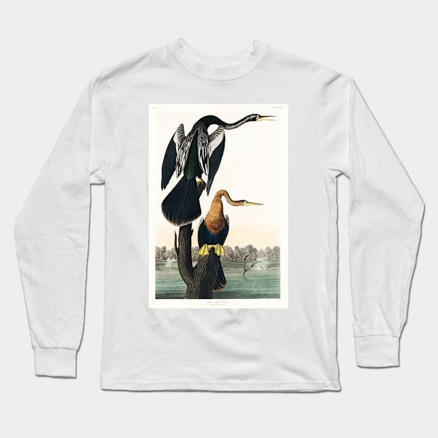 Black-bellied Darter from Birds of America (1827) Long Sleeve T-Shirt by WAITE-SMITH VINTAGE ART